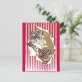 猫のラッピング紙 ポストカード (スタンド正面)