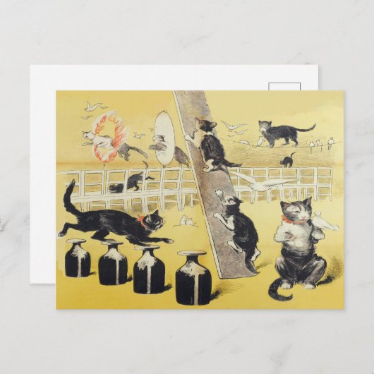 猫の世界 ポストカード (正面/裏面)