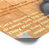 猫の事実！ ポスター (角)