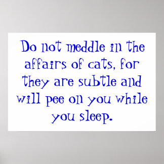 猫の事 ポスター