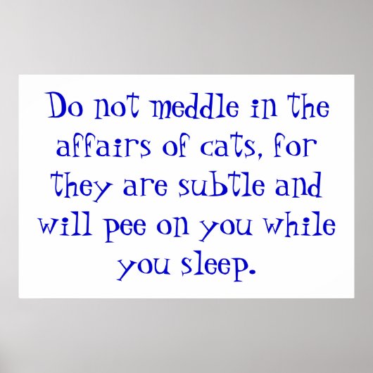 猫の事 ポスター (正面)