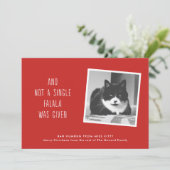 猫の人々のためのおもしろいなペットクリスマスカード シーズンカード (スタンド正面)