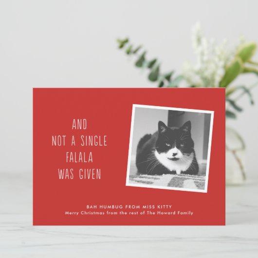 猫の人々のためのおもしろいなペットクリスマスカード シーズンカード (スタンド正面)
