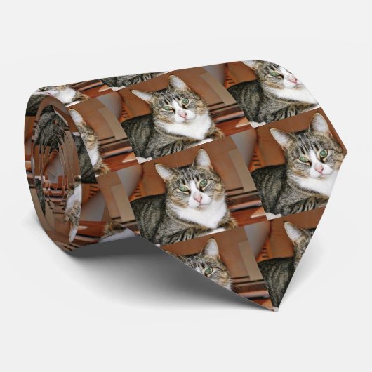 猫の休息 ネクタイ (ロール)