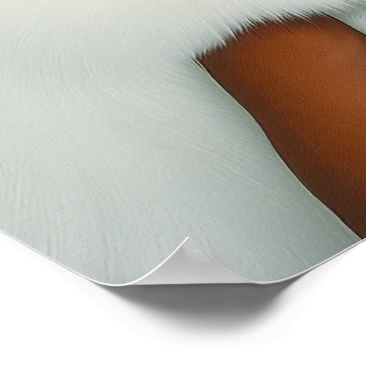 猫の優雅な女性 ポスター (角)