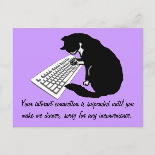 猫の入力 ポストカード (正面)