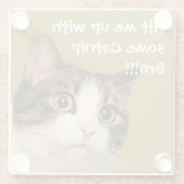 猫の写真おもしろいのキャットニップキャプション ガラスコースター (裏面)