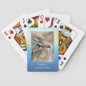 猫の写真おもしろいトランプデッキ トランプ (裏面)