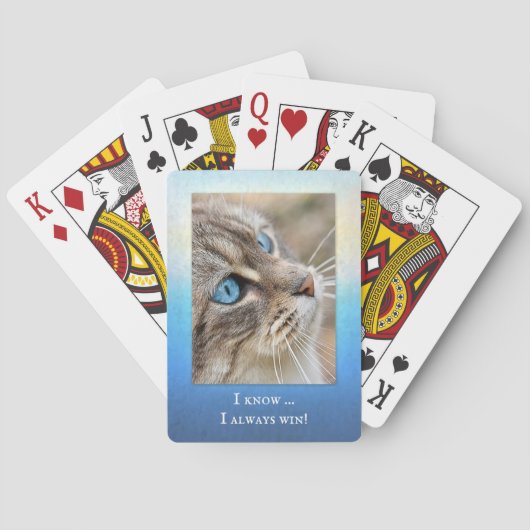 猫の写真おもしろいトランプデッキ トランプ (裏面)