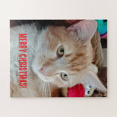 猫の写真のクリスマスパズル ジグソーパズル (横)