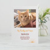 猫の写真の動きのお知らせ 案内状 (スタンド正面)