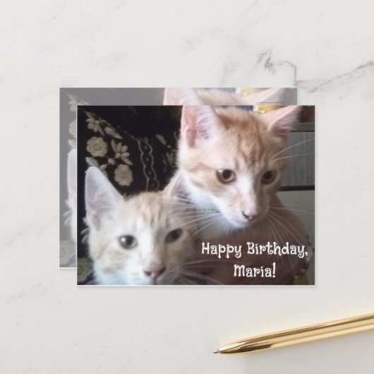 猫の写真の表裏バースデーカード ポストカード (正面/裏面インサイチュ)