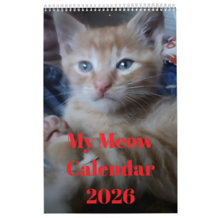 猫の写真をカスタマイズできる楽しい名言 カレンダー