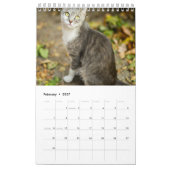 猫の写真を毎月青にする カレンダー (2月 2027)