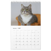 猫の写真を毎月青にする カレンダー (1月 2027)