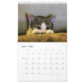 猫の写真を毎月青にする カレンダー (3月 2026)