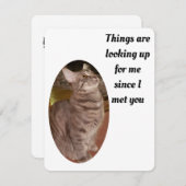 猫の写真を見る人がパーフェクトバレンタインを探す シーズンカード (正面/裏面)