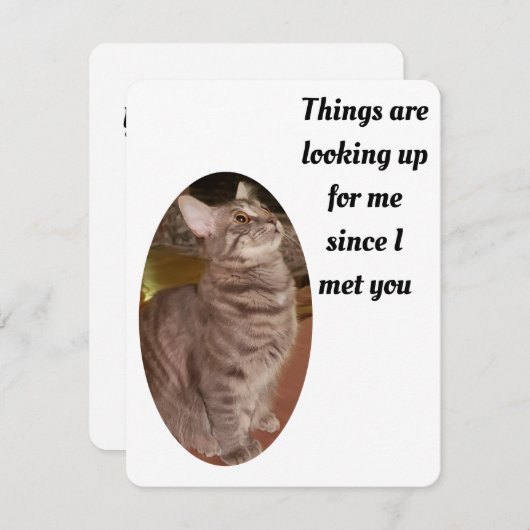 猫の写真を見る人がパーフェクトバレンタインを探す シーズンカード (正面/裏面)