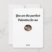 猫の写真を見る人がパーフェクトバレンタインを探す シーズンカード (裏面)