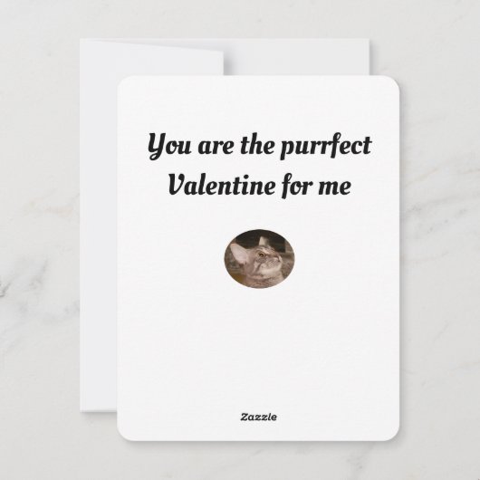 猫の写真を見る人がパーフェクトバレンタインを探す シーズンカード (裏面)