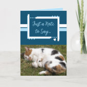 猫の写真を青い白と書くメモ カード (正面)