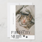 猫の写真メリーホワイトクリスマス シーズンカード (正面)