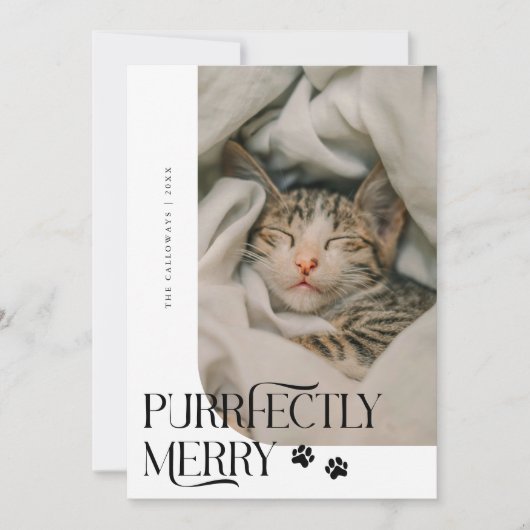 猫の写真メリーホワイトクリスマス シーズンカード (正面)