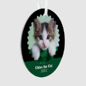 猫の写真入りグリーンとブラックのオーナメント オーナメント (正面)