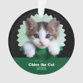猫の写真入りグリーンとブラックのオーナメント オーナメント (正面)