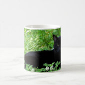 猫の写真入りコーヒーマグ コーヒーマグカップ (中央)