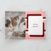 猫の写真3枚がブルゴーニュって書いてあるだけ カード (内部)