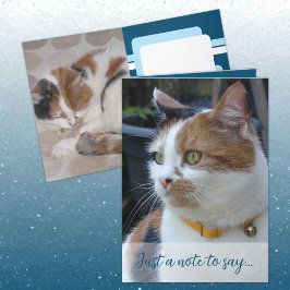 猫の写真3枚を青で書いたお書き カード