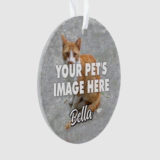猫の写真 オーナメント (正面)