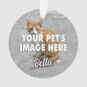 猫の写真 オーナメント (正面)