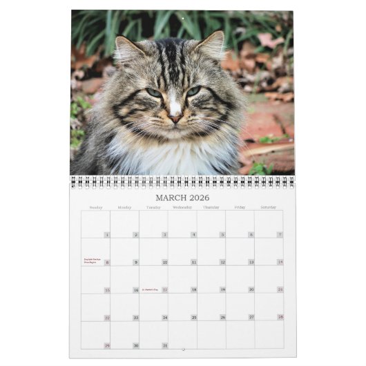 猫の写真 カレンダー (3月 2026)