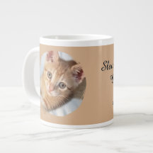 猫の写真、テキスト、差し替え可能、面白い、猫好きのための