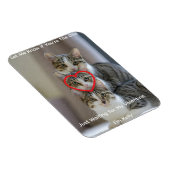 猫の写真 フレキシブル フォト マグネット (右側)