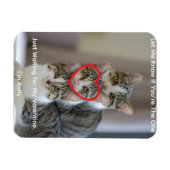 猫の写真 フレキシブル フォト マグネット (横)