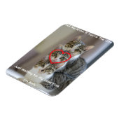 猫の写真 フレキシブル フォト マグネット (左側)