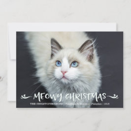 猫の写真 | メオリークリスマス シーズンカード