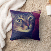 猫の写真，猫，ペット，おもしろい猫， クッション (ブランケット)