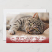 猫の写真 MEOWY クリスマス 雪 赤 (正面)