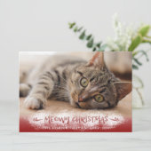 猫の写真 MEOWY クリスマス 雪 赤 (スタンド正面)