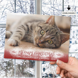 猫の写真 MEOWY クリスマス 雪 赤