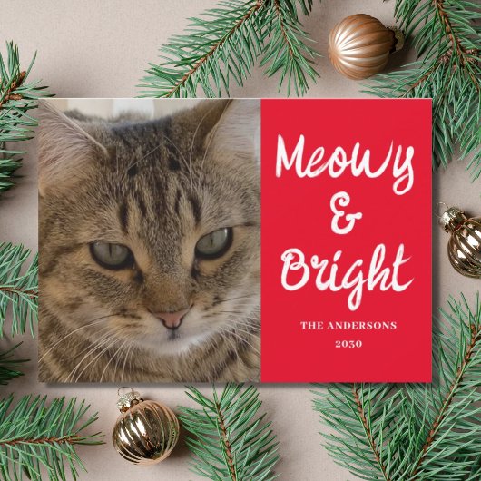 猫の写真 Meowy and Bright クリスマス