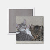 猫の冷蔵庫用マグネット マグネット (正面/裏面)