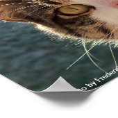 猫の凝視 ポスター (角)