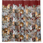 猫の出会いポイント – かわいい シャワーカーテン (正面)