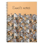 猫の出会いポイント – かわいい ノートブック (正面)