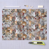 猫の出会いポイント – かわいい 薄葉紙 (クラフト)